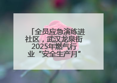 全员应急演练进社区，武汉龙泉街2025年燃气行业“安全生产月”宣传活动举行