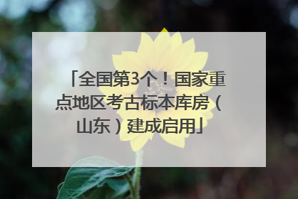 全国第3个！国家重点地区考古标本库房（山东）建成启用