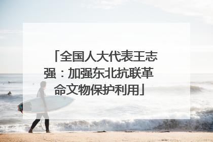 全国人大代表王志强：加强东北抗联革命文物保护利用