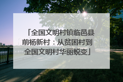 全国文明村镇临邑县前杨新村：从贫困村到全国文明村华丽蜕变