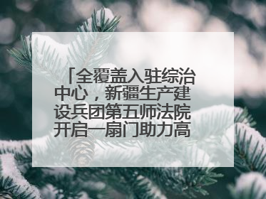 全覆盖入驻综治中心，新疆生产建设兵团第五师法院开启一扇门助力高速讨薪获赞