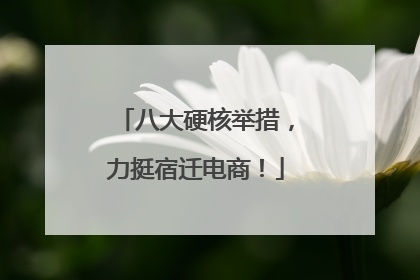 八大硬核举措，力挺宿迁电商！