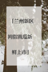 兰州新区拇指黄瓜新鲜上市
