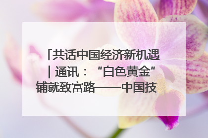 共话中国经济新机遇｜通讯：“白色黄金”铺就致富路——中国技术助力科特迪瓦橡胶产业增产增效