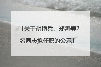 关于胡艳兵、郑涛等2名同志拟任职的公示
