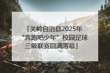 关岭自治县2025年“奔跑吧少年”校园足球三级联赛圆满落幕