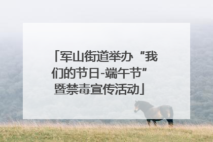 军山街道举办“我们的节日-端午节”暨禁毒宣传活动