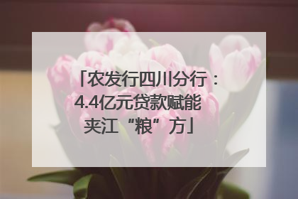 农发行四川分行：4.4亿元贷款赋能夹江“粮”方