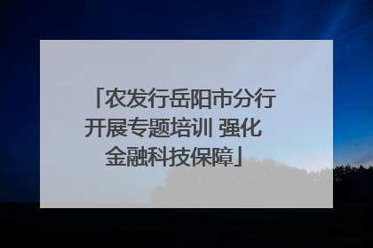 农发行岳阳市分行开展专题培训 强化金融科技保障