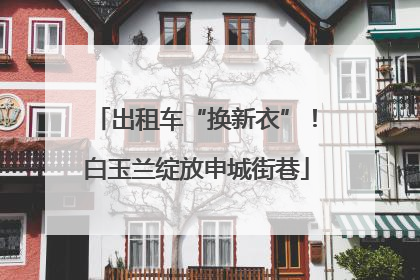 出租车“换新衣”！白玉兰绽放申城街巷