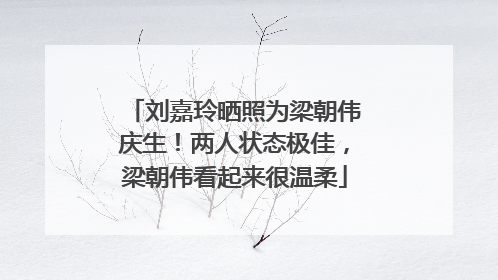 刘嘉玲晒照为梁朝伟庆生！两人状态极佳，梁朝伟看起来很温柔