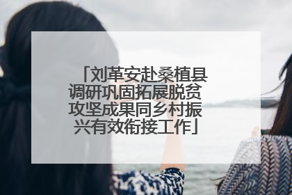 刘革安赴桑植县调研巩固拓展脱贫攻坚成果同乡村振兴有效衔接工作