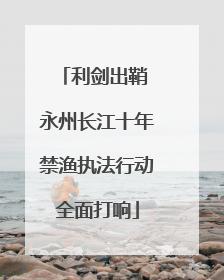利剑出鞘 永州长江十年禁渔执法行动全面打响