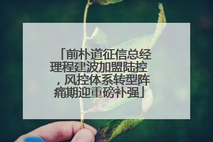 前朴道征信总经理程建波加盟陆控，风控体系转型阵痛期迎重磅补强