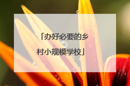 办好必要的乡村小规模学校