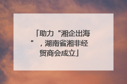 助力“湘企出海”，湖南省湘非经贸商会成立