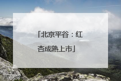 北京平谷：红杏成熟上市
