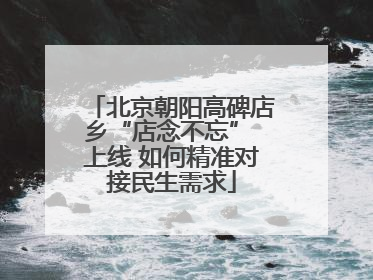 北京朝阳高碑店乡“店念不忘” 上线 如何精准对接民生需求