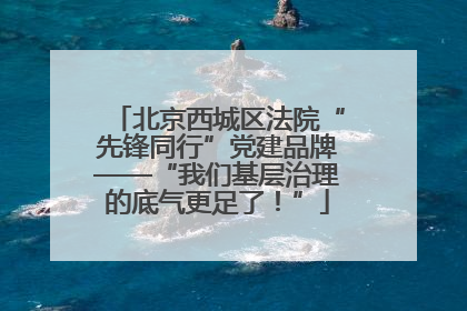 北京西城区法院“先锋同行”党建品牌——“我们基层治理的底气更足了！”