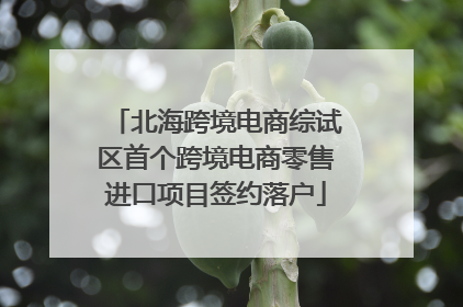 北海跨境电商综试区首个跨境电商零售进口项目签约落户