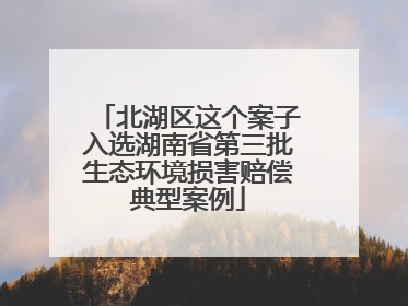 北湖区这个案子入选湖南省第三批生态环境损害赔偿典型案例