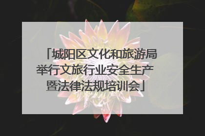 城阳区文化和旅游局举行文旅行业安全生产暨法律法规培训会