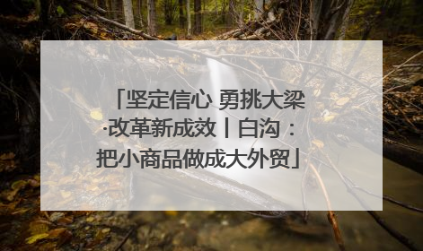 坚定信心 勇挑大梁·改革新成效丨白沟：把小商品做成大外贸