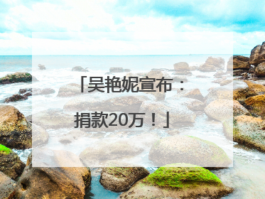 吴艳妮宣布：捐款20万！