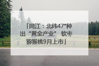 同江：北纬47°种出“黄金产业” 软枣猕猴桃9月上市