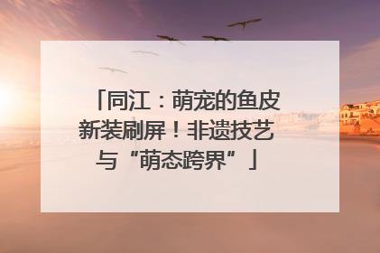 同江：萌宠的鱼皮新装刷屏！非遗技艺与“萌态跨界”