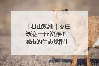 君山观潮｜枣庄绿迹 一座资源型城市的生态觉醒