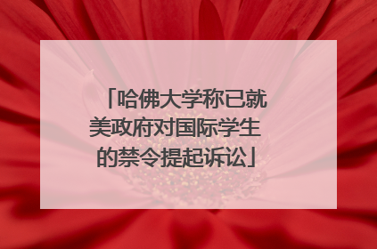 哈佛大学称已就美政府对国际学生的禁令提起诉讼
