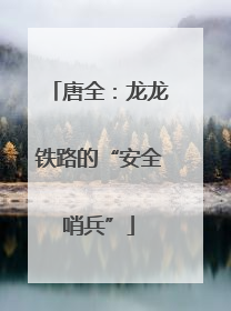 唐全：龙龙铁路的“安全哨兵”