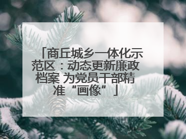 商丘城乡一体化示范区：动态更新廉政档案 为党员干部精准“画像”