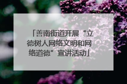 善南街道开展“立德树人网络文明和网络道德”宣讲活动