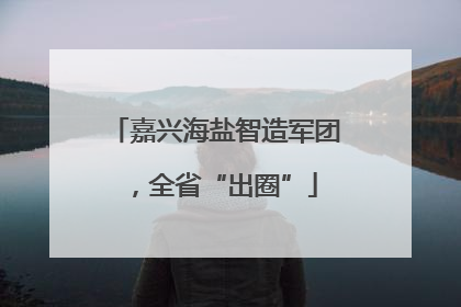 嘉兴海盐智造军团，全省“出圈”