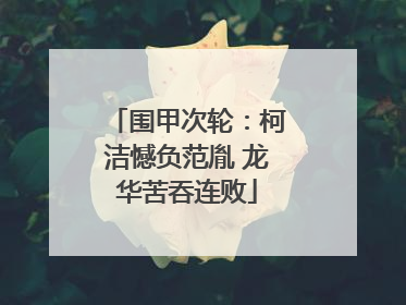 围甲次轮：柯洁憾负范胤 龙华苦吞连败