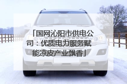国网沁阳市供电公司：优质电力服务赋能凉皮产业飘香