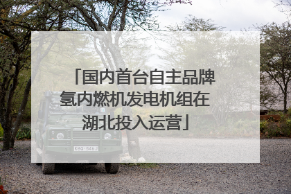 国内首台自主品牌氢内燃机发电机组在湖北投入运营