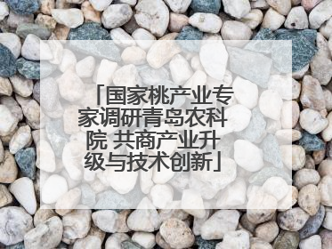 国家桃产业专家调研青岛农科院 共商产业升级与技术创新