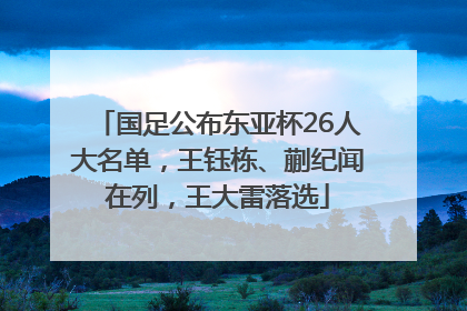 国足公布东亚杯26人大名单，王钰栋、蒯纪闻在列，王大雷落选