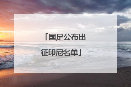 国足公布出征印尼名单
