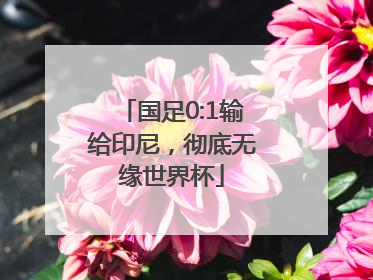 国足0:1输给印尼，彻底无缘世界杯