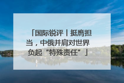 国际锐评丨挺膺担当，中俄并肩对世界负起“特殊责任”