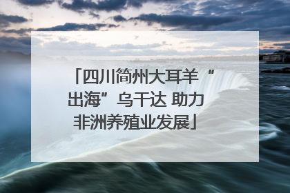四川简州大耳羊“出海”乌干达 助力非洲养殖业发展