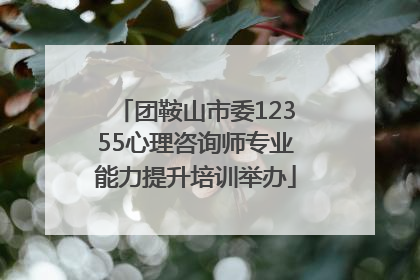 团鞍山市委12355心理咨询师专业能力提升培训举办