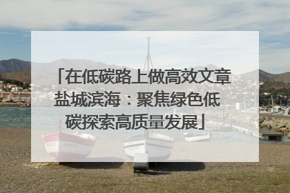 在低碳路上做高效文章 盐城滨海：聚焦绿色低碳探索高质量发展