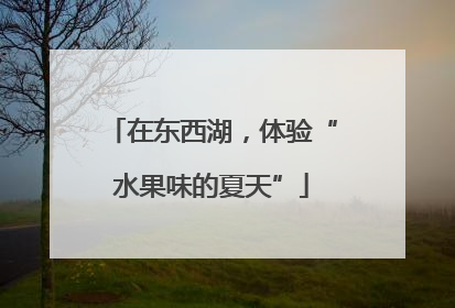在东西湖，体验“水果味的夏天”