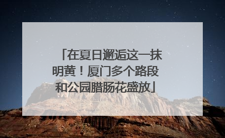 在夏日邂逅这一抹明黄！厦门多个路段和公园腊肠花盛放