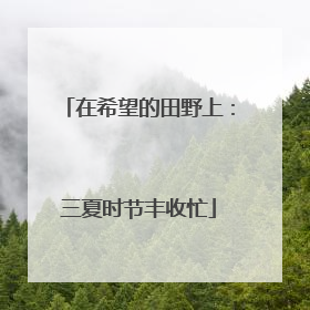在希望的田野上：三夏时节丰收忙